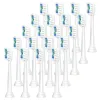 Color: Ivory - Replacement Toothbrush Heads Compatible with Philips Sonicare Electric Toothbrush Brush Head 1100 2100 4100 5100 5300 6100 7500