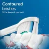 Color: Ivory - Replacement Toothbrush Heads Compatible with Philips Sonicare Electric Toothbrush Brush Head 1100 2100 4100 5100 5300 6100 7500